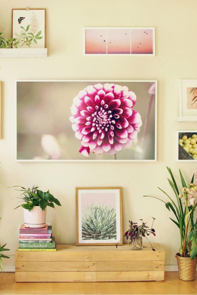 Revamp your television wall into an awe-inspiring gallery of captivating pictures!