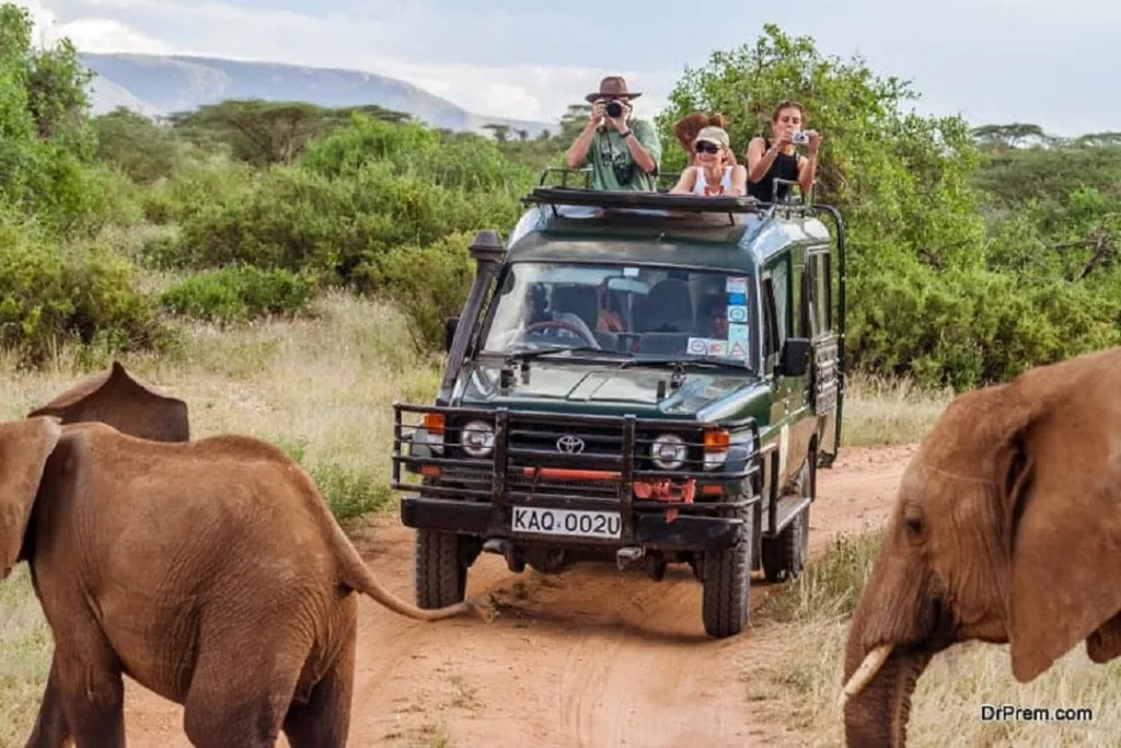Embracing Responsible Wildlife Tourism