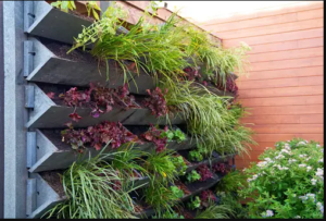 Living Walls Integrating Vertical Gardens for Green Interiors