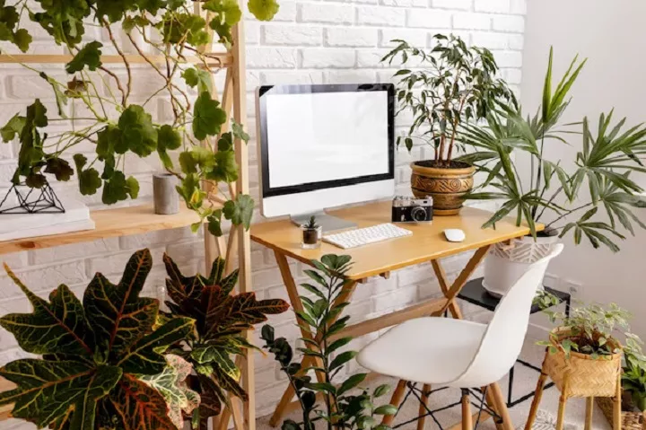 Biophilic Design and Workplace Productivity