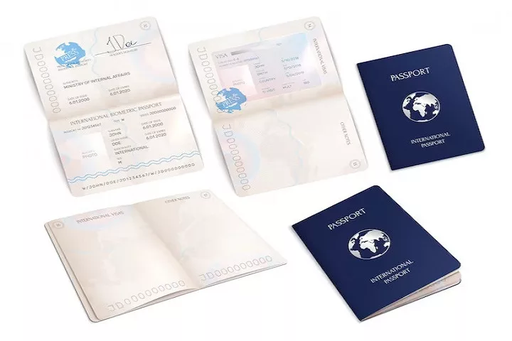 The Anatomy Of Your Travel Document Number