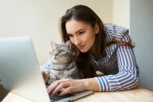 Mastering Business Cat For Efficient Workflows Success